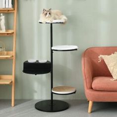 a cat laying on top of a table next to a chair and shelf in a living room