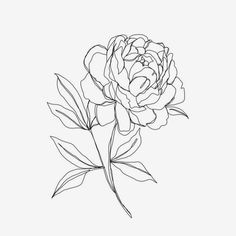 a black and white drawing of a flower