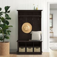 a hat is hanging on a coat rack next to a potted plant and other items