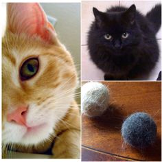 there are four different pictures of cats and balls of yarn on the floor, one cat is looking at the camera