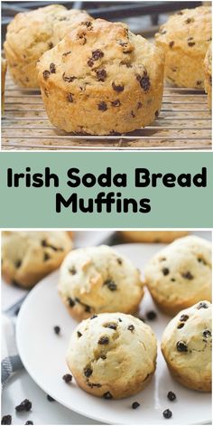 irish soda bread muffins with chocolate chips on top