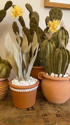 three potted cactus plants sitting on top of a wooden table next to each other