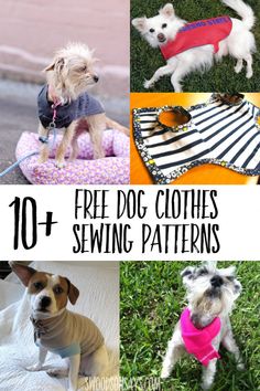 free dog clothes sewing patterns for dogs and their owners to make them comfortable in the sun