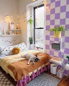 a dog laying on top of a bed in a room with purple and white walls