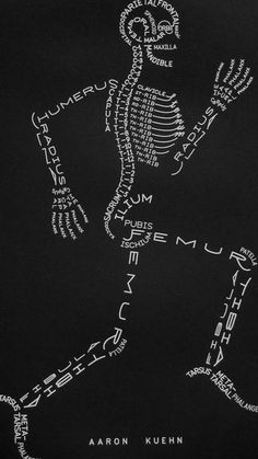 an image of a skeleton with words written in it's body and the bones