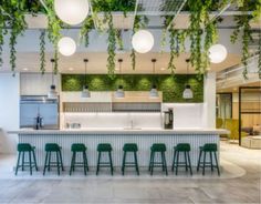 an office with plants hanging from the ceiling and bar stools in front of it