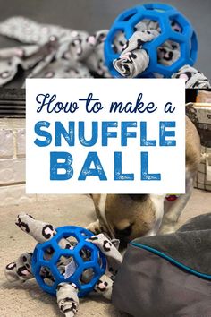 how to make a snuffle ball for your dog's toys and play time