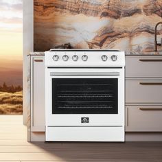 a white stove top oven sitting inside of a kitchen next to a wall with a painting on it