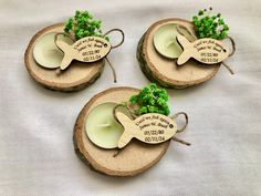 three pieces of wood with candles and some green plants on top of each one, sitting on a white cloth