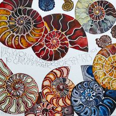 an art work with many different types of seashells on it's surface