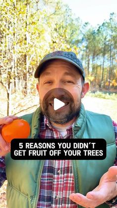 a man holding an orange in his hand and the caption reads, 6 reasons you didn't get fruit off your trees