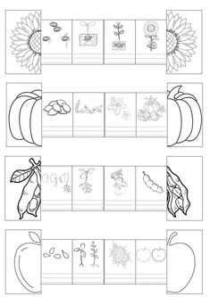 the worksheet for preschool to learn how to write and draw letters with pictures