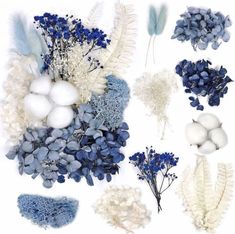 blue and white flowers are arranged on a white background with feathers, branches, and eggs