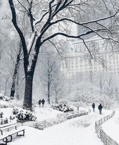 people are walking in the snow near benches