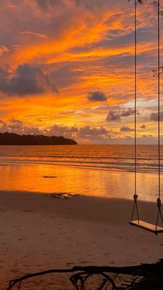 a swing hanging from a tree on the beach at sunset with clouds in the sky