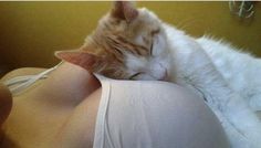 an orange and white cat sleeping on top of a woman's stomach with her eyes closed