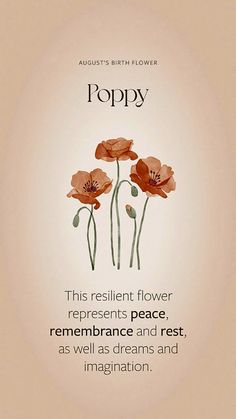 an image of flowers with the words poppy on it