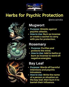 Native American Herbs, Wiccan Illustration, Herbal Witch, Candle Color Meanings, Protection Oil, Spiritual Space, Spiritual Reality, Magickal Herbs, Sweet Magic