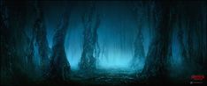 a dark forest filled with lots of trees