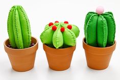 three small cactus plants in clay pots on a white surface, one is green and the other is red