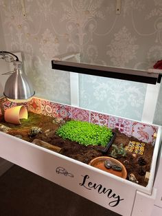 a display case with plants and rocks in the bottom shelf, along with a teapot