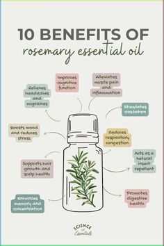 Benefits of Rosemary essential oil, how to use rosemary oil, science of essentials, aromatherapy Rosemary Essential Oil Uses, Benefits Of Rosemary Essential Oil, Rosemary Oil Benefits, Benefits Of Rosemary Oil, Benefits Of Rosemary, Fragrance Blends, Essential Oil Education, Oil Cleansing, Rosemary Essential Oil