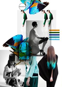 a collage of photos with birds and people in them, including a woman's head