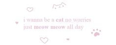 a pink cat paw print with the words i wanna be a cat no wories just meow meow all day