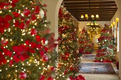 christmas trees are lined up along the hallway