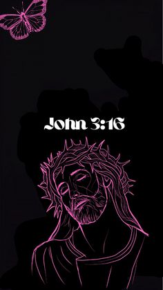 a poster with the words john 3 16 and a pink butterfly flying in the background