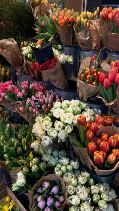 a bunch of flowers that are on display