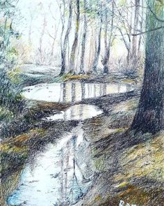 a pencil drawing of a stream in the woods