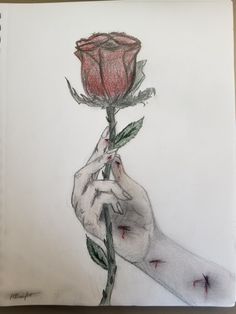 a drawing of a hand holding a rose