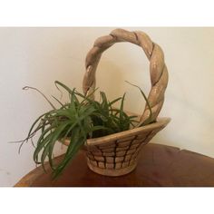 a basket with some plants in it on a table