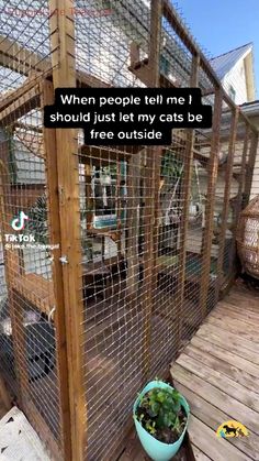 there is a small cage with plants in it on the ground and a quote about people tell me i should't build just let my cats be free outside