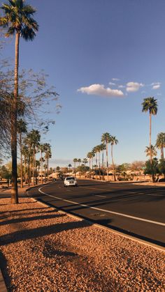 a car is driving down the road in front of some trees and palm trees on either side