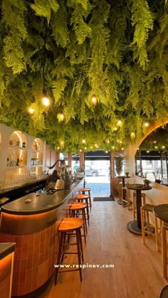 the inside of a restaurant with wooden tables and stools, green plants hanging from the ceiling