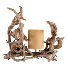 a lamp that is next to some driftwood