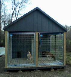 two dogs are sitting in their kennels outside