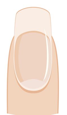 an image of a nail polish bottle on a white background