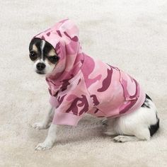 a small dog wearing a pink camo hoodie and sitting on the floor in front of a white carpet