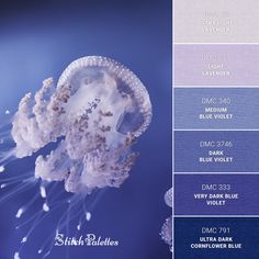 an image of a jellyfish in the water with color swatches to choose from