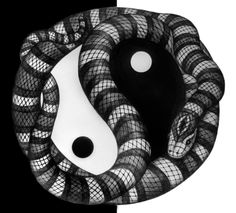 a black and white image of a yin - yang symbol in the form of a snake