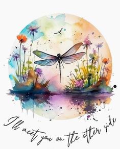 a watercolor painting with a dragonfly on it's back and the words meet you