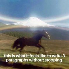 a horse running across a field with a rainbow in the sky above it and a caption that reads, this is what it feels like to write 3 paragraphs without stopping