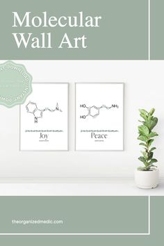 two posters on the wall with text that reads, how to make a modular wall art