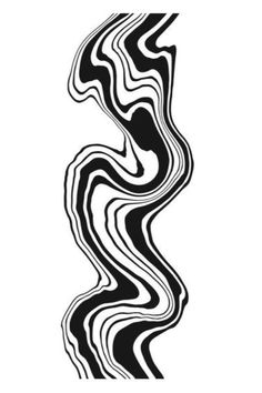 an abstract black and white pattern with wavy lines on the bottom half of its body