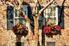 two planters on the side of a brick building with shutters and window boxes