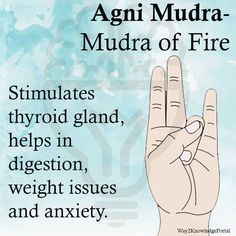 Health And Fitness Articles, Acupressure Points, Health Knowledge, Yoga Health