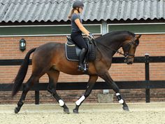 a woman riding on the back of a brown horse in front of a brick building